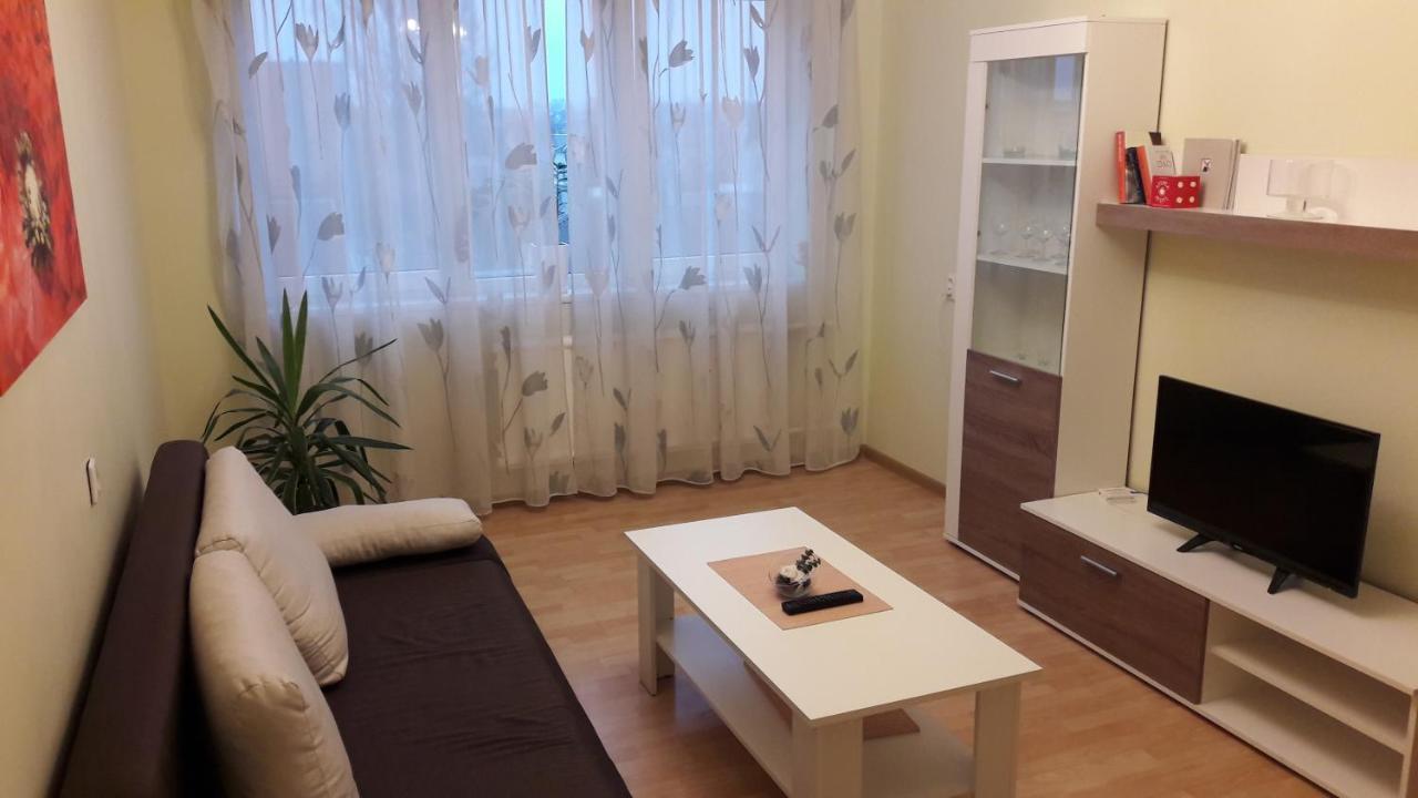 Grazinos Apartamentai Паневежис Экстерьер фото
