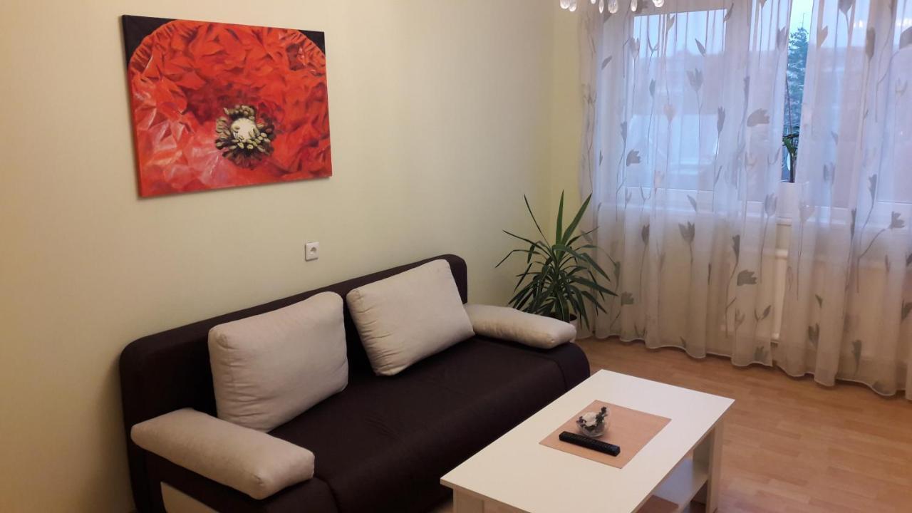 Grazinos Apartamentai Паневежис Экстерьер фото